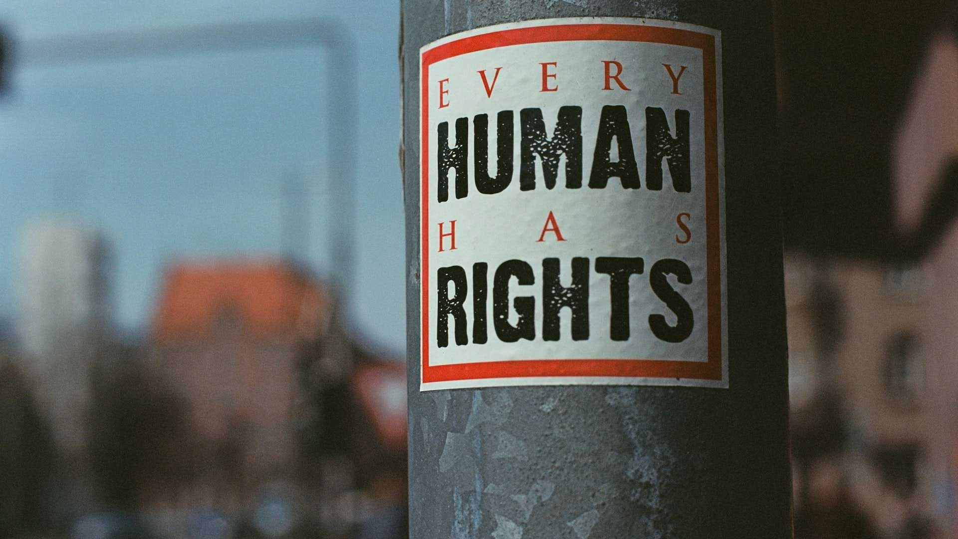 An image of a lamppost with a sticker on it, saying "Every Human Has Rights"