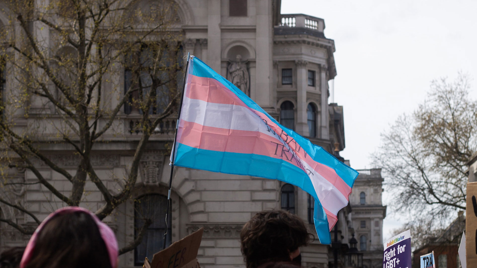 A pic of someone holding the Transgender Flag at a demonstration.
